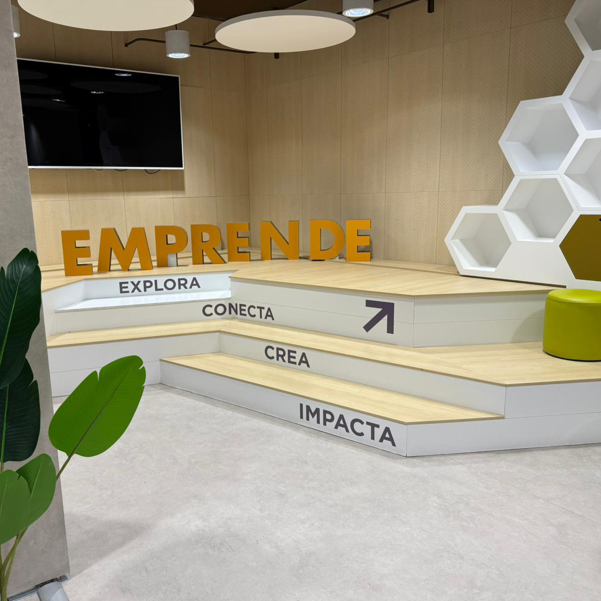 Corredores levantando los brazos